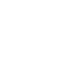 表現力・思考力アイコン